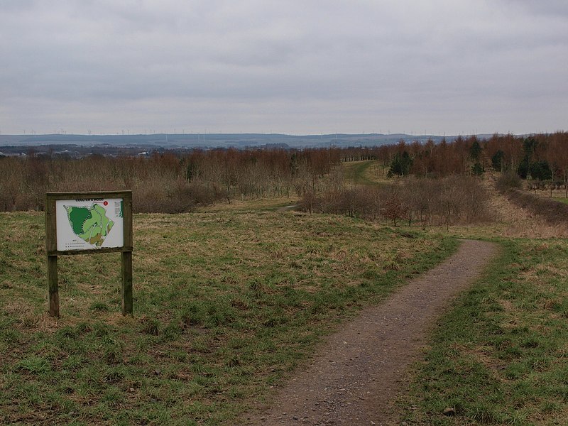 File:Coulters Wood (geograph 4383844).jpg