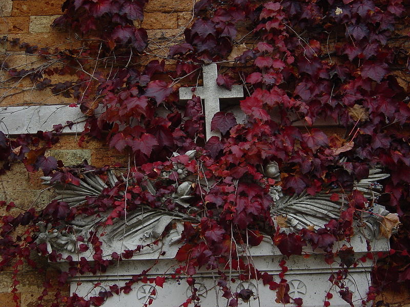 File:Croce e foglie autunnali - Foto di Giovanni Dall'Orto.jpg