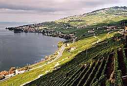 Bourg-en-Lavaux - Widok