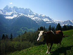 Vue des Dents du Midi