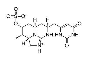 Figure 3. Deoxycylindrospermopsin, a non-toxic metabolite of C. raciborskii Deoxycylindrospermopsin.png