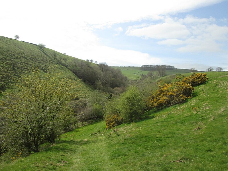 File:Descending to Coombs Dale on the path from Stoney Middleton - geograph.org.uk - 5350862.jpg