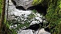 Devil's Pulpit, Finnich Glen on the Carnock Burn.jpg