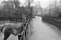 Zoo de Wassenaar