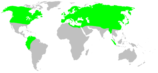 Mapa występowania