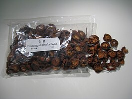 Dried Crataegus scabrifolia fruits.jpg