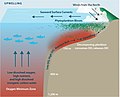 Drivers of hypoxia and acidification in upwelling shelf systems.jpg