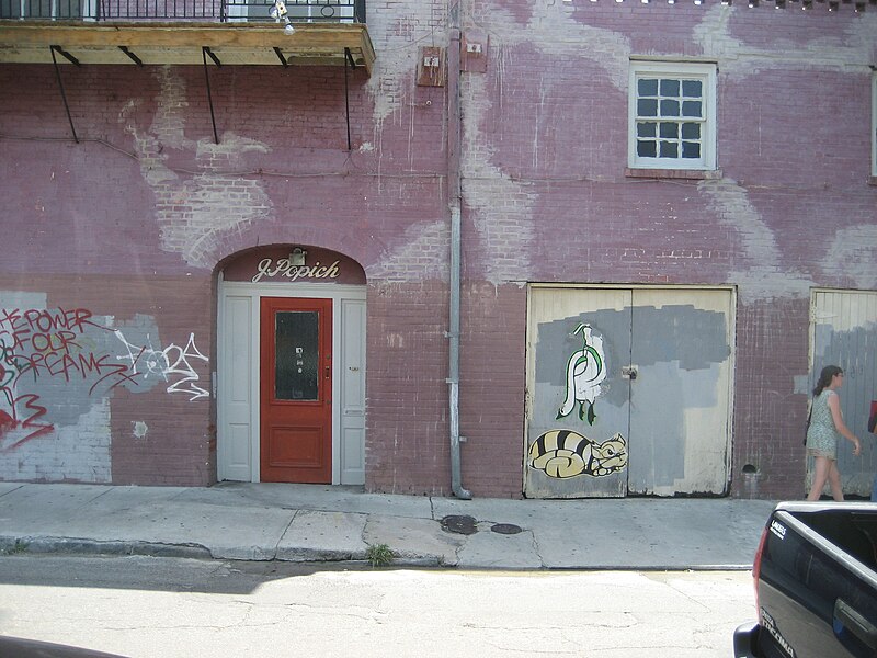 File:Dumaine Street French Quarter - Door and Graffiti, July 2008.jpg