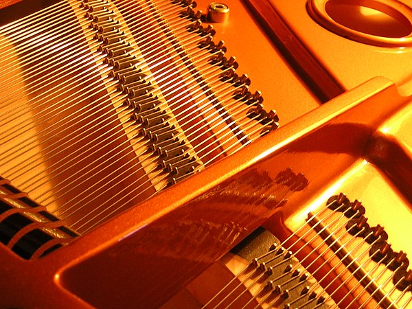 The strings of a piano