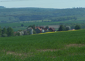 Berteroda on the western edge of the Hainich, in the background the Lohberg