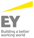 Tulemuse "Ernst &amp; Young" pisipilt