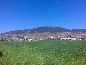 El Amra et Djebel Tsili (Algérie).jpg