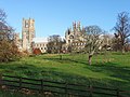 Ely Cathedral from the south - geograph.org.uk - 1767167.jpg
