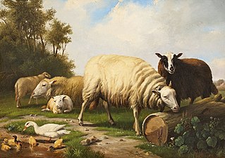 Eugène Verboeckhoven Schafe und Enten.jpg