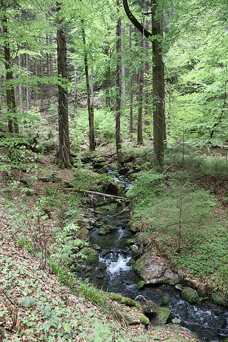 Fällbach 6288