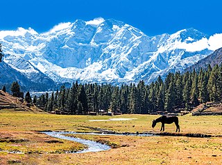 Nanga Parbat Eight-thousander and 9th-highest mountain on Earth, located in Pakistan