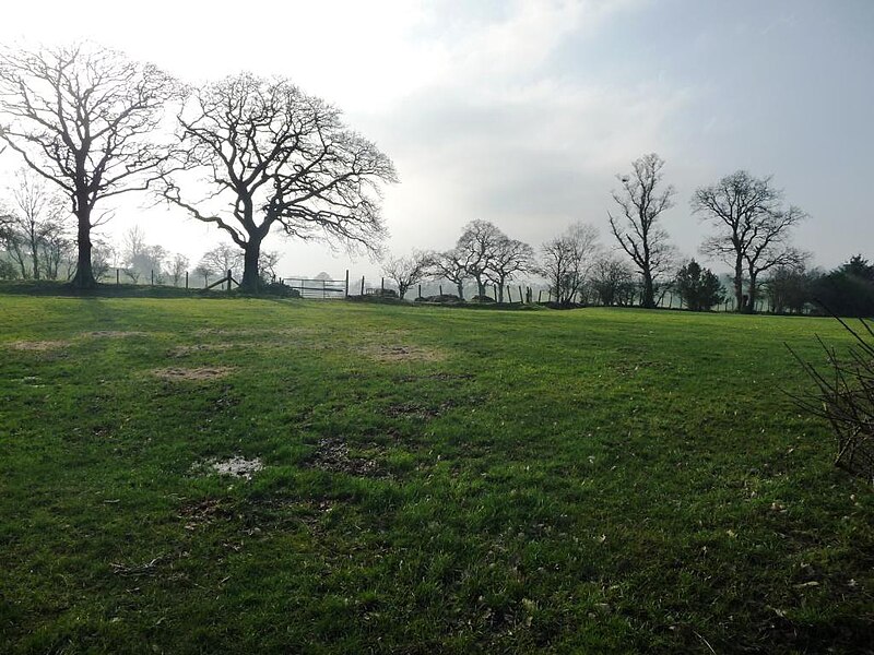 File:Farmland with trees, east of Low Park House - geograph.org.uk - 5292490.jpg