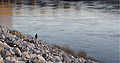 * Nomination Fishing by the Old Hickory Lock and Dam near Nashville, Tennessee, USA. Thegreenj 03:11, 2 January 2008 (UTC) * Promotion Not too much noise and the large of the river and the small of the fisherman -- very nice. -- carol 07:07, 8 January 2008 (UTC)