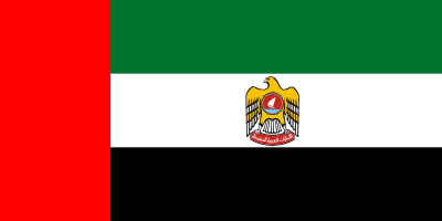 阿聯酋總統旗幟(1973-2008年)