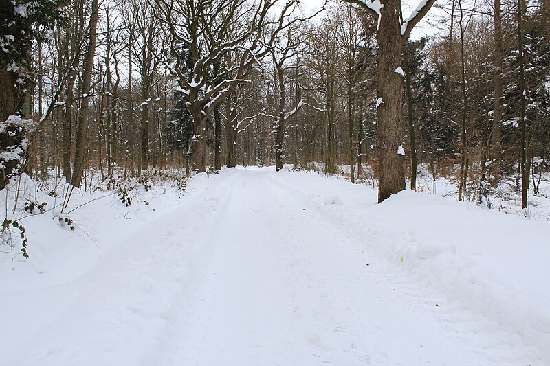 File:Flensburg Marienhoelzung Winter 2018.jpg