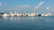 Parte della flotta peschereccia di Porto Santo Stefano ormeggiata al molo Garibaldi.