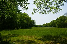 Long Acre Farm Fork Factory Brook P1040316.jpg