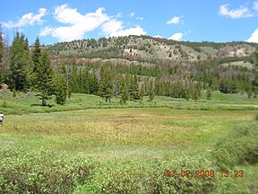 Frog Lake meadows