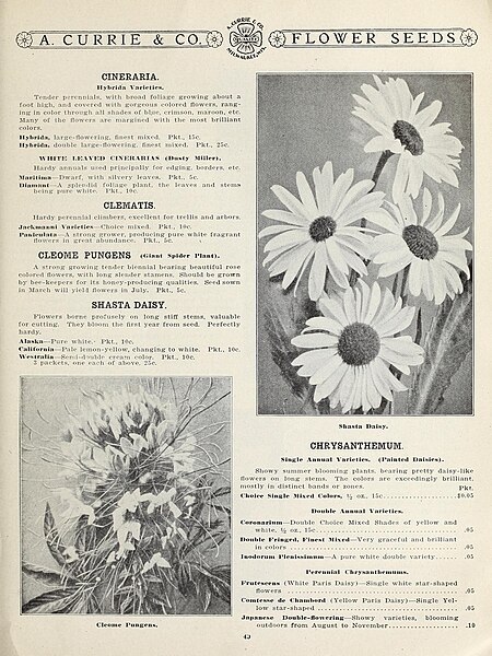 File:Garden and farm seeds (16251767669).jpg