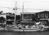 George N. Cretekos (Sponge Diving Boat)