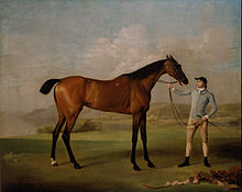 Stubbs's Molly Long-legs with her Jockey (1761-62), a more typical racehorse portrait (101 x 127 cm) George Stubbs - Molly Long-legs with her Jockey - Google Art Project.jpg