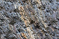 Gesteine am Ufer der Urft im Nationalpark Eifel-3534.jpg