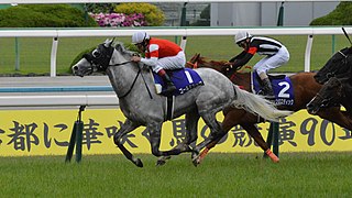 <span class="mw-page-title-main">Gold Ship</span> Japanese-bred Thoroughbred racehorse