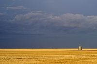 Offene Prärie außerhalb von Weyburn