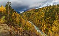 Graddiselva river in Junkerdalen, Saltdal, Nordland, Norway, 2018 September.jpg