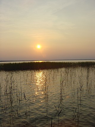 <span class="mw-page-title-main">Lake Waccamaw State Park</span>