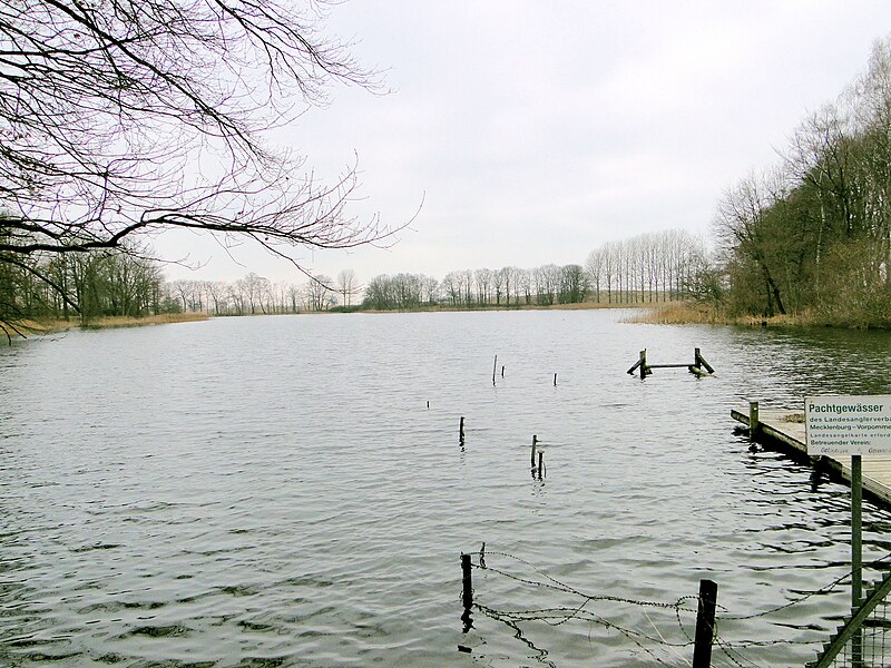 File:Grenzhausen Kiebitzmoor 2012-03-15 071.JPG