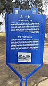 Gvulot - The four trees - 3.jpg
