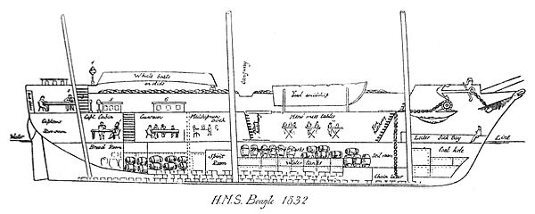 Longitudinal section of HMS Beagle as of 1832