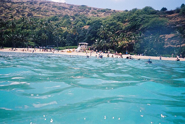 File:Hanauma_Bay_beach,_view_from_water.jpg