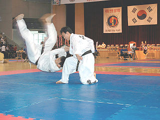 Hapkido Korean martial art