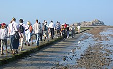 In 2005, the tides necessitated an early morning start to the pilgrimage. Helier pilgrimage 2005 Jersey.jpg