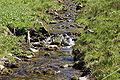 Hoppecke zwischen Langenberg und Mittelsberg 30. April 2007