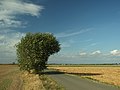 Pražská Plošina: Členění, Vymezení, Geologie a geomorfologie