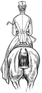 Ideal position in the saddle, the rider's spine aligns with that of the horse Horsemanship for Women 117.png