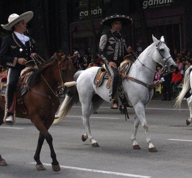 File:Horses and traditions.jpg