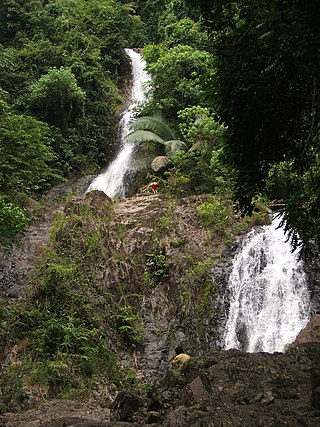 <span class="mw-page-title-main">Khao Phanom Bencha National Park</span> National park in Thailand