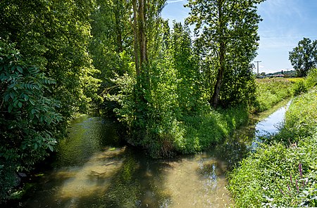 Humbrühl Rohrmatten jm20168