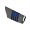 IAF Group Captain Sleeve.png