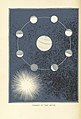 Image taken from page 44 of 'Six Thousand Years Ago- or, the Works of Creation illustrated. (With illustrations.)' (11022773186).jpg