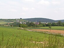 Külsheim von Westen